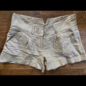 Metallic Silver Lined Dressy Shorts Boutique